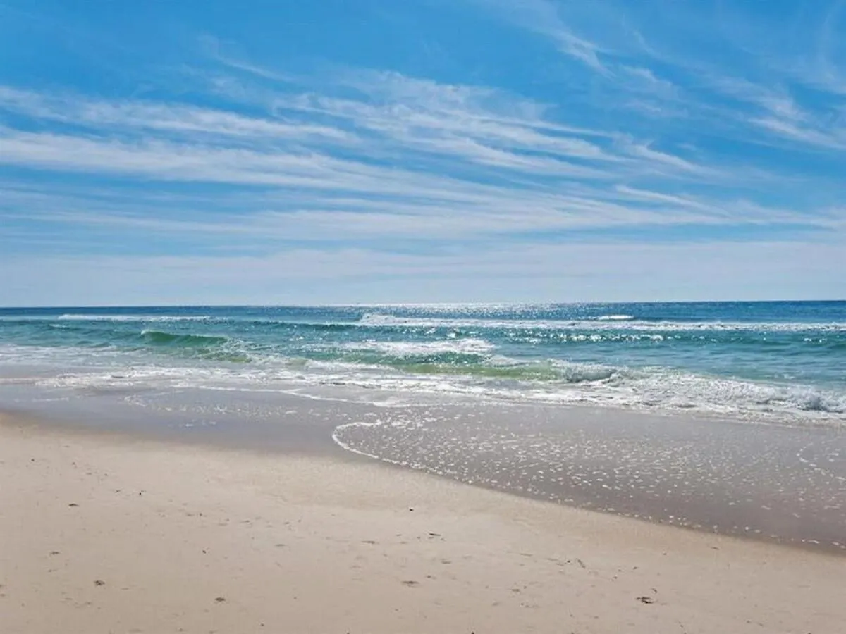 Calypso 2306W Penthouse Vip Parking And 2 Sets Of Beach Chairs Panama City Beach 0*,  Stati Uniti